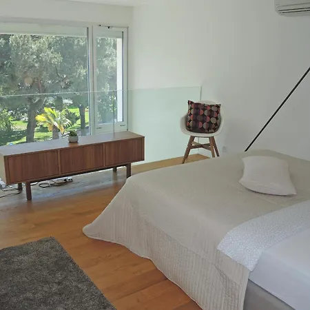 Rivalago By Fewotessin